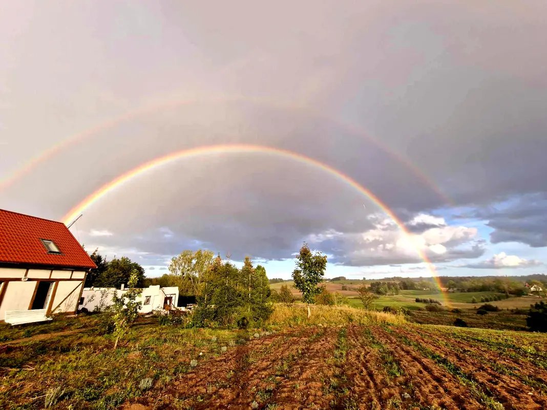 Lawendowy Dom - zdjęcie 2